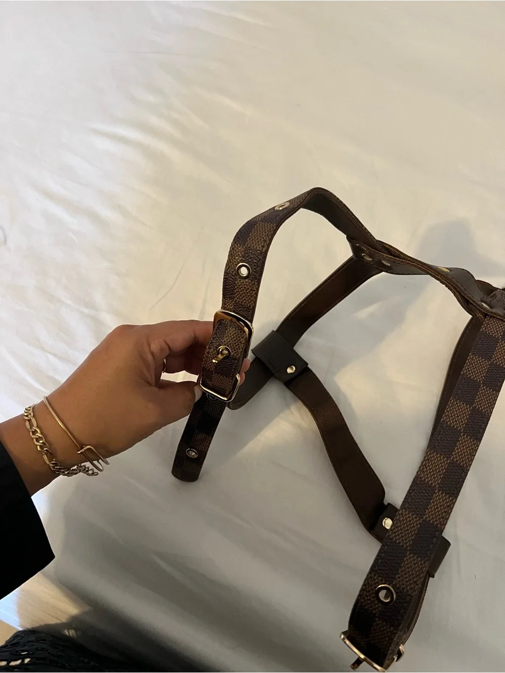 Louis Vuitton Brown Checkered Dog Harness with Gold-Tone Hardware
